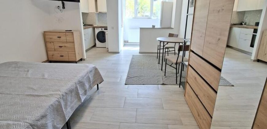 Inchiriez garsoniera renovata complet cu balcon, zona Mihai Viteazu