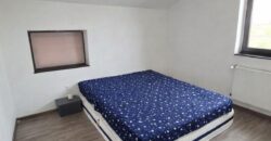 Casa individuala – Izvor, mobilata la cheie, Comision 0%