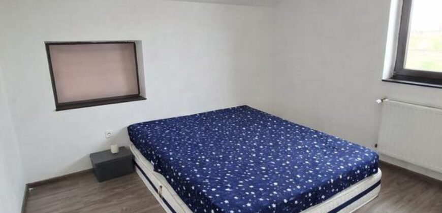 Casa individuala – Izvor, mobilata la cheie, Comision 0%