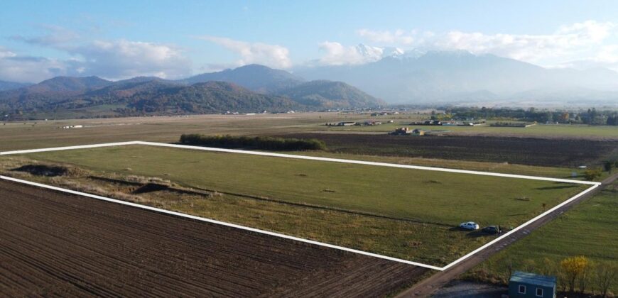 Proiect Rasnov Teren Intravilan, 45 de loturi- Investitie!