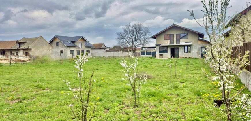 Casa individuala – Izvor, mobilata la cheie, Comision 0%