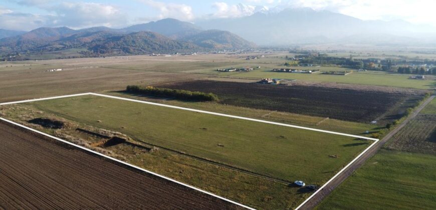 Proiect Rasnov Teren Intravilan, 45 de loturi- Investitie!