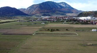 TEREN INTRAVILAN ZONA PENNY