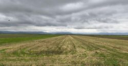 Teren intrare Prejmer