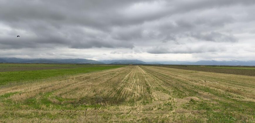 Teren intrare Prejmer