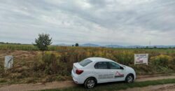 Teren de Casa – Harman – Brasov