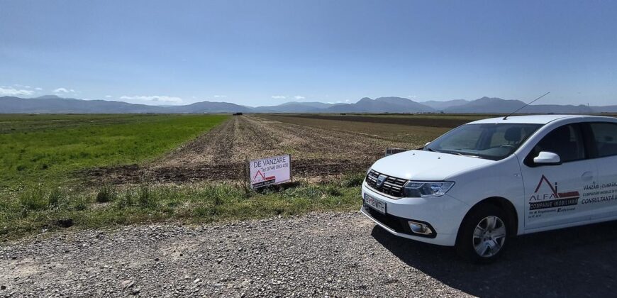 Teren intrare Prejmer