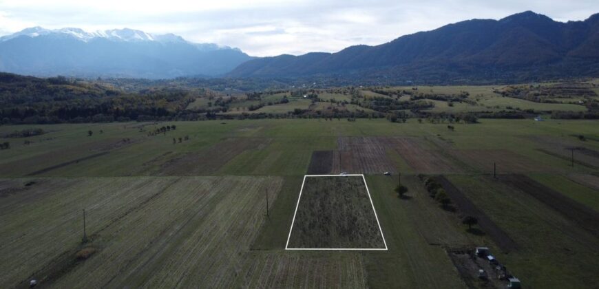 TEREN INTRAVILAN ZONA PENNY