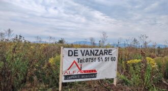 Teren de Casa – Harman – Brasov