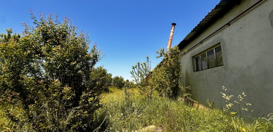 Hală industrială de vanzare – COMISION 0% CUMPARATOR