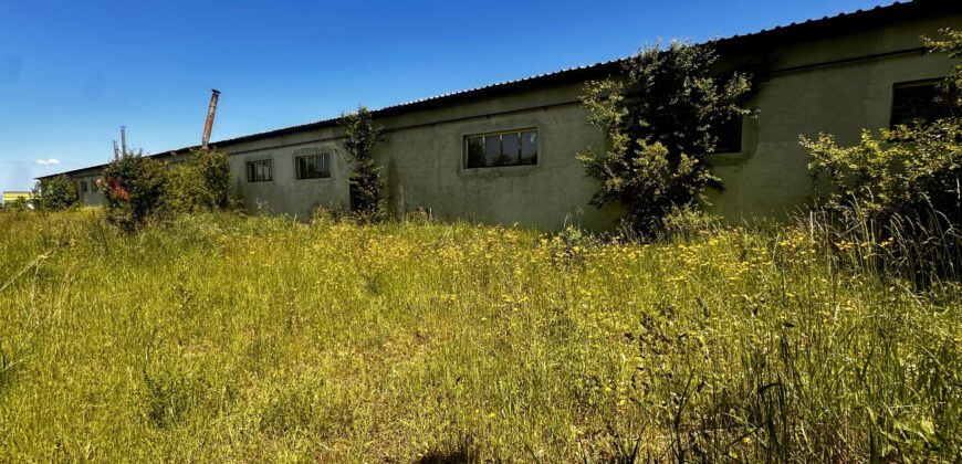 Hală industrială de vanzare – COMISION 0% CUMPARATOR
